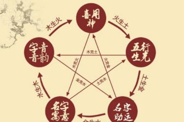 丽五行属什么？你可能不知道的命理玄机