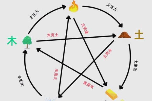 丽五行属什么？你可能不知道的命理玄机