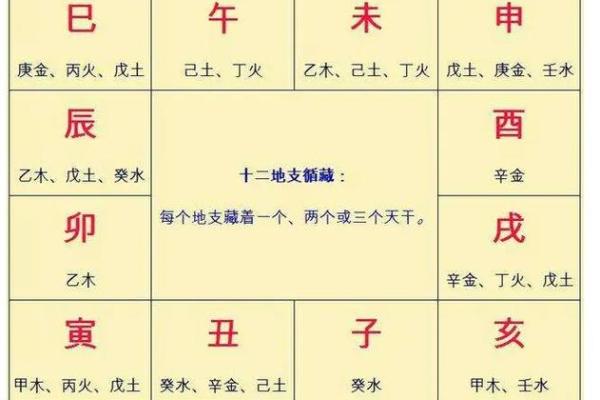 十二地支透干的奥秘解析
