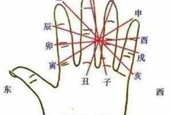 掌中乾坤：手相解读，掌握人生运势风向标