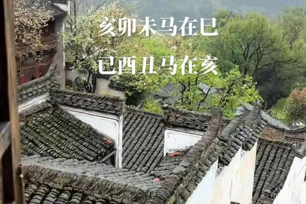 如何通过地支理解驿马星的影响