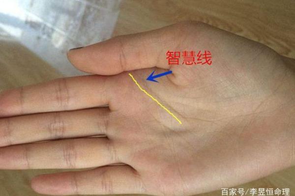 手中藏智慧：女性手相大揭秘