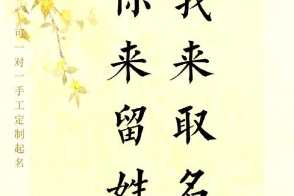 绍字男孩名字精选：传统文化与现代气息的完美融合