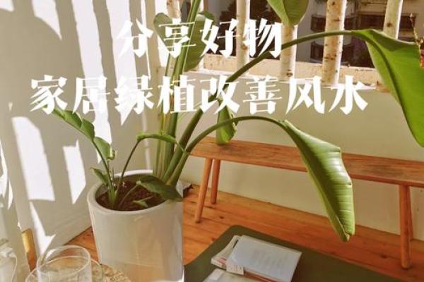 卧室门朝东风水大揭秘：避开禁忌，财运亨通