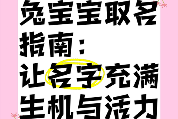 木韵宝宝名：自然生机，取名指南