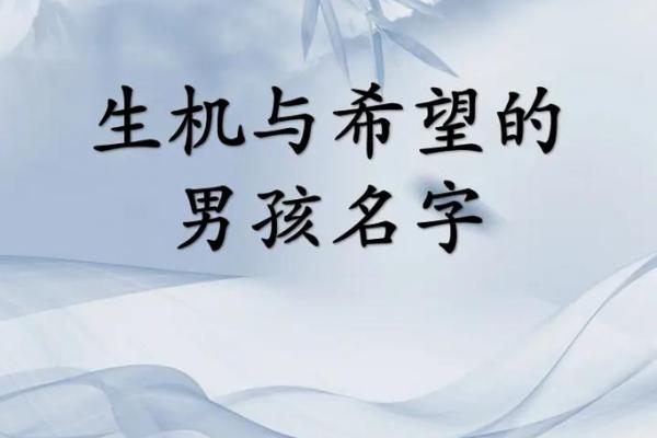 木韵宝宝名：自然生机，取名指南