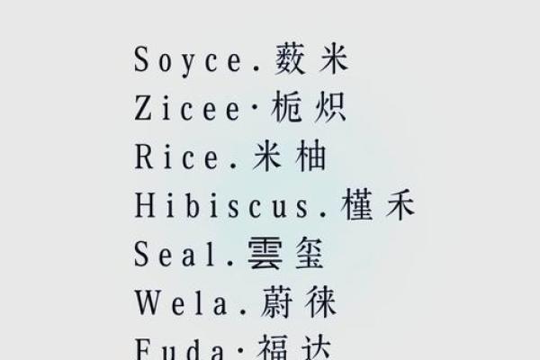 创意十足的QQ公司名字推荐大全