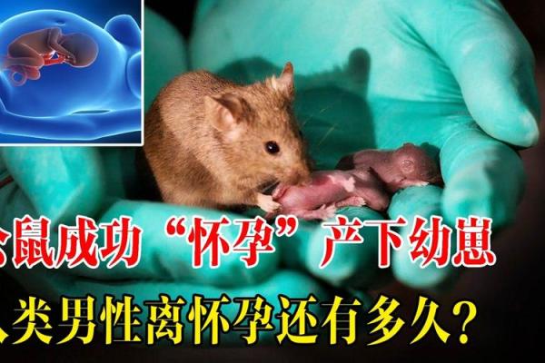 识人如观兽：面相书中的动物奥秘揭秘！