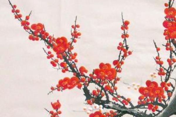 梅花风水布局，为家添一抹诗意