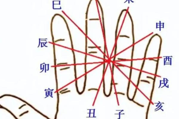 如何理解申亥地支在八字中的重要作用 如何理解申亥地支在八字中的重要作用