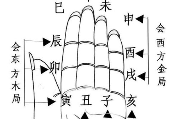 如何理解申亥地支在八字中的重要作用 如何理解申亥地支在八字中的重要作用