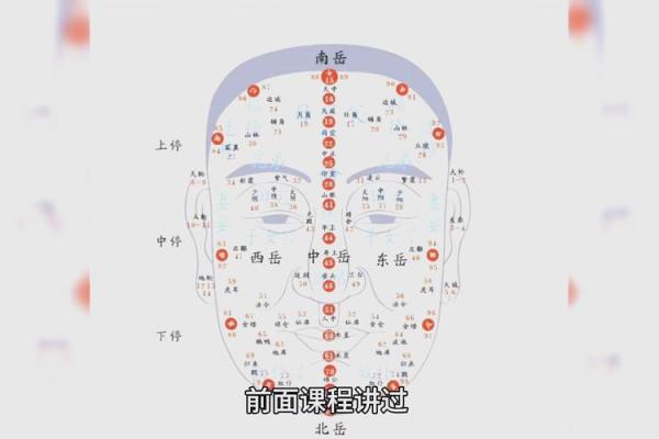 面相解析：手脚皮薄面相揭秘
