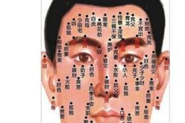 痣相解析:揭秘五种痣相背后的财运秘密! 痣相解析:揭秘五种痣相背后的财运秘密!