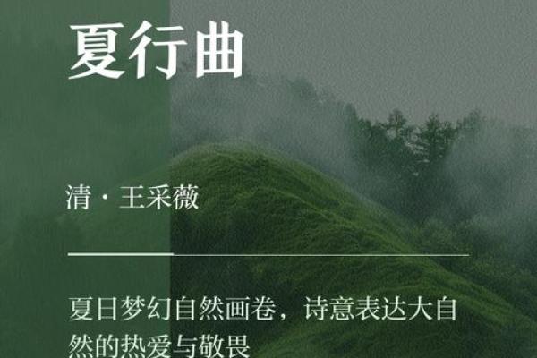 五动行中的夏：