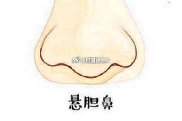 鼻子长如悬胆，富贵吉祥的面相秘诀