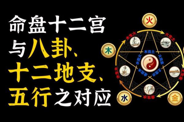 如何运用十二地支神杀来解读命盘 如何运用十二地支神杀来解读命盘