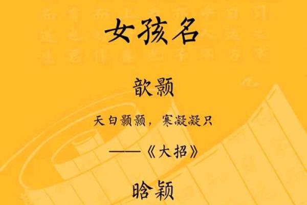 孔府佳名，灵动女宝
