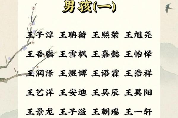 王姓男宝宝名字精选