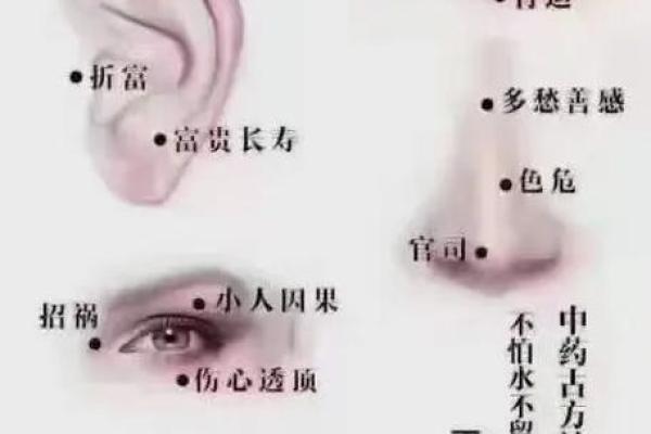 痣点星图，命运密码大揭秘！