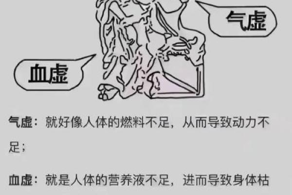 面相奥秘：洞察命运与人生的秘密之窗