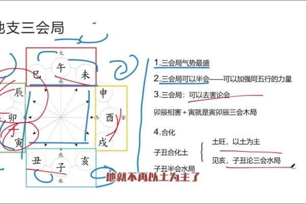 深入了解地支相忌表的历史背景 深入了解地支相忌表的历史背景