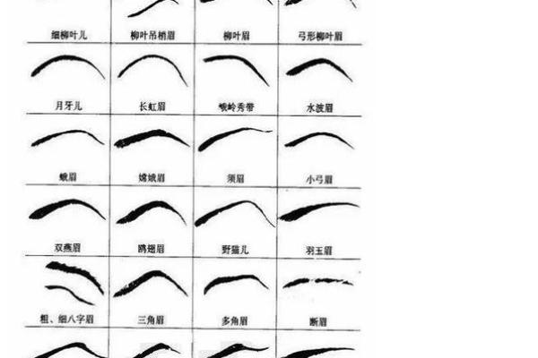 看脸识命运：麻衣相脸痣，揭秘你的运势秘密