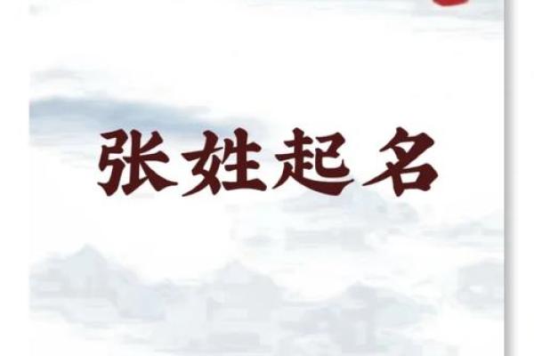 张氏鸡宝宝名字宝典