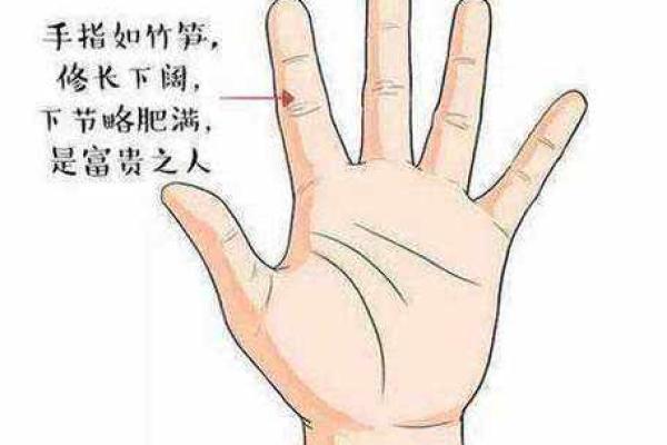 掌中星辰指引：揭秘手相中的天文线密码