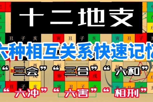 八字命理中的地支争合与性格关系 八字命理中的地支争合与性格关系