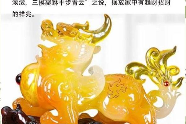 家居招财风水布局：打造财运亨通的吉祥空间