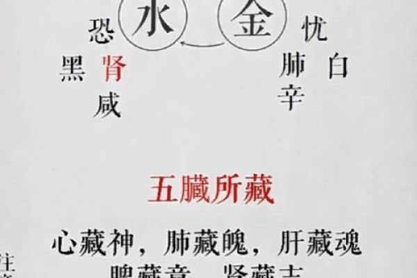 墨五行：如何在日常生活中运用五行理念