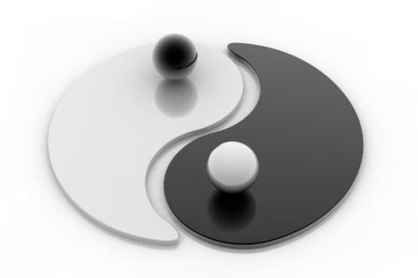 丁文剑风水学的独特理念与应用探索