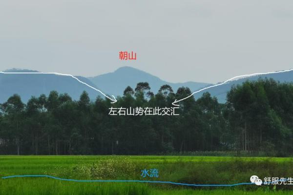 揭秘阳宅地理风水：布局与作用全方位详解，助您打造风水宝地