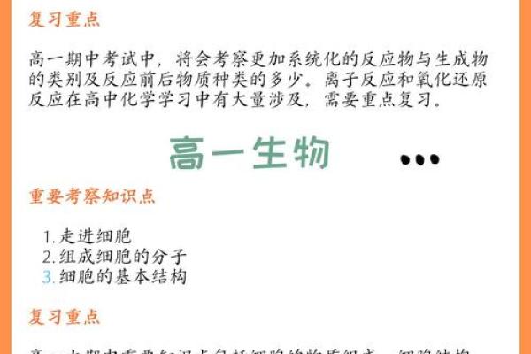 考学命理大揭秘：揭秘你的学业天赋，助你一飞冲天！