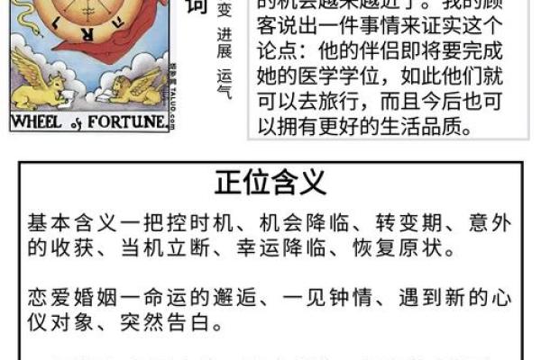 揭秘幸福密码：命理大师教你掌握命运