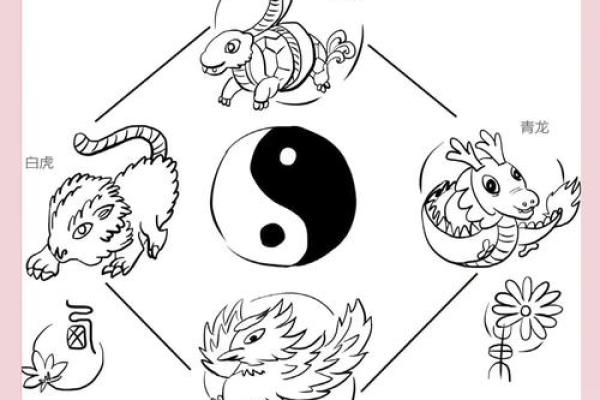 简字在五行中的分类与含义