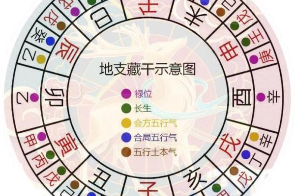 揭示十二地支在易经中的深刻含义 揭示十二地支在易经中的深刻含义