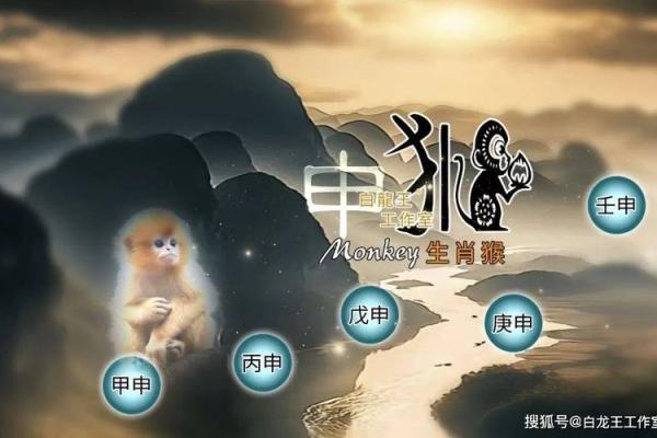 地支交战中的命运挑战 地支交战中的命运挑战