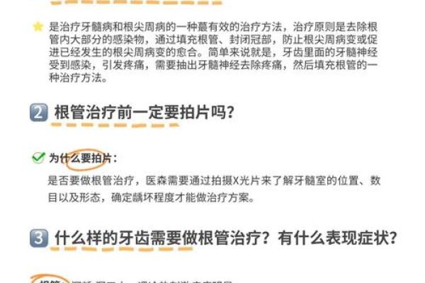 地支强根的重要性及其影响 地支强根的重要性及其影响