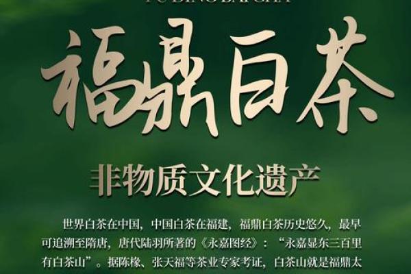茗鼎文化：传统茶道的现代传承与创新
