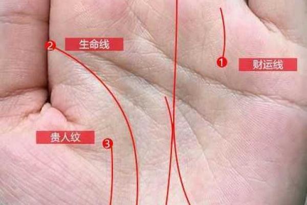 手相揭秘：命运线预示你的未来人生轨迹