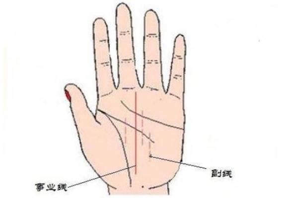 手相事业线深度解析：让你的事业运势一目了然