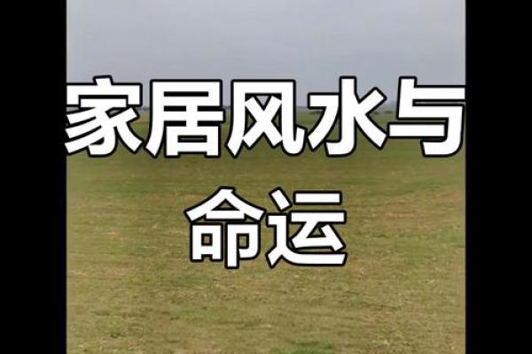 风水布局，助你爱情美满如画