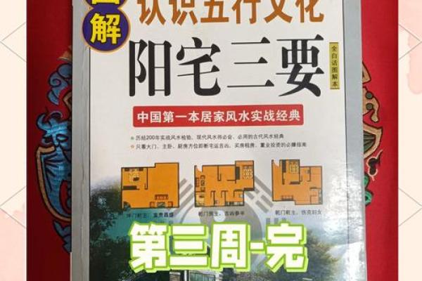 现代风水学的理念与应用解析