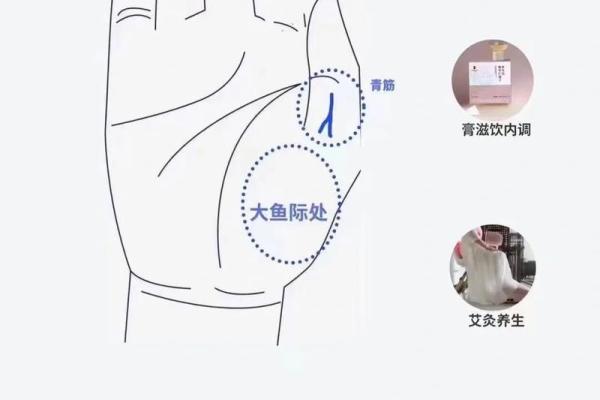 大鱼际掌中宝