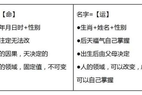 郭东名字解析：名字中的文化密码与人生哲理