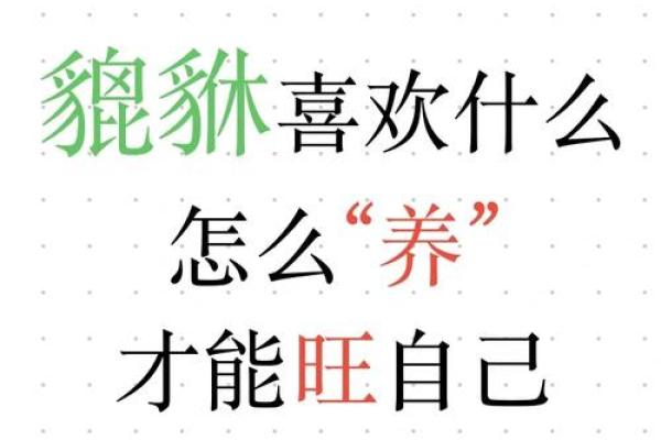 养鱼风水秘籍：办公室财运滚滚来！