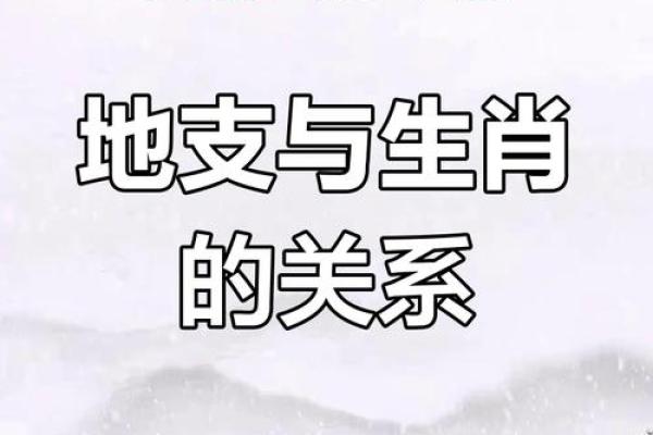 浅谈地支与十二生肖的深层联系