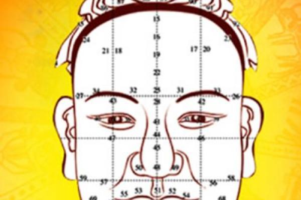 面相官星：洞察命运与权力的神秘密码