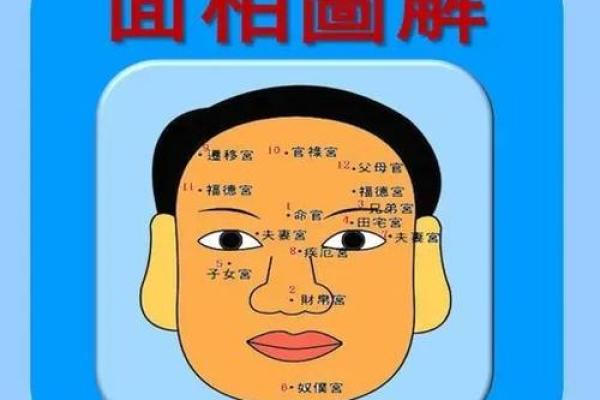 左侧脸大面相解析：财运亨通，事业辉煌的秘密